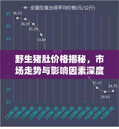 野生豬肚價格揭秘，市場走勢與影響因素深度解析