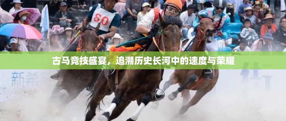 古馬競技盛宴，追溯歷史長河中的速度與榮耀