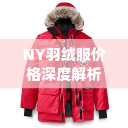 NY羽絨服價格深度解析，了解真實價格，選購更明智！