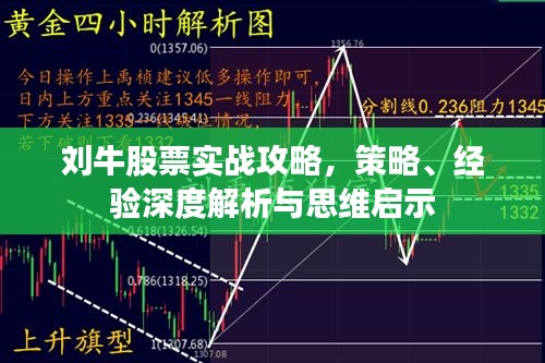 劉牛股票實戰(zhàn)攻略，策略、經(jīng)驗深度解析與思維啟示