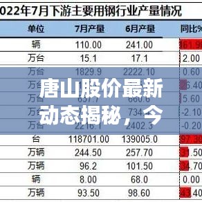 唐山股價(jià)最新動態(tài)揭秘，今日走勢一覽無余