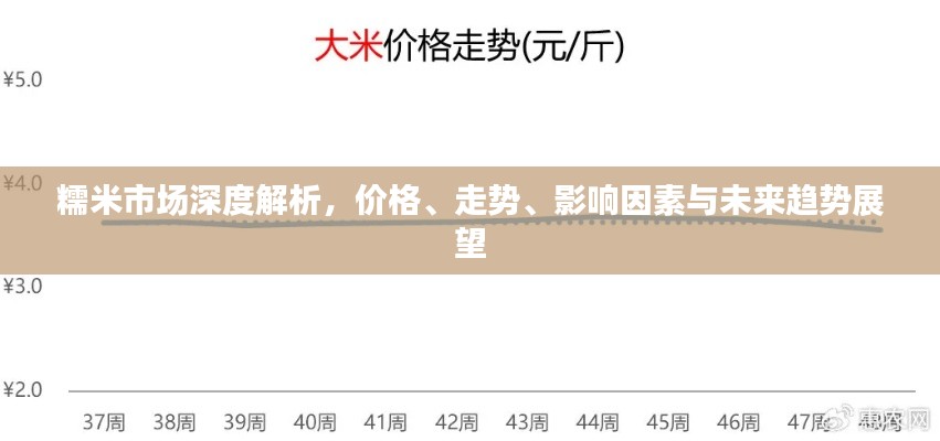 糯米市場深度解析，價格、走勢、影響因素與未來趨勢展望