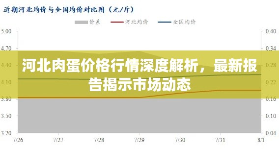 河北肉蛋價格行情深度解析，最新報告揭示市場動態(tài)