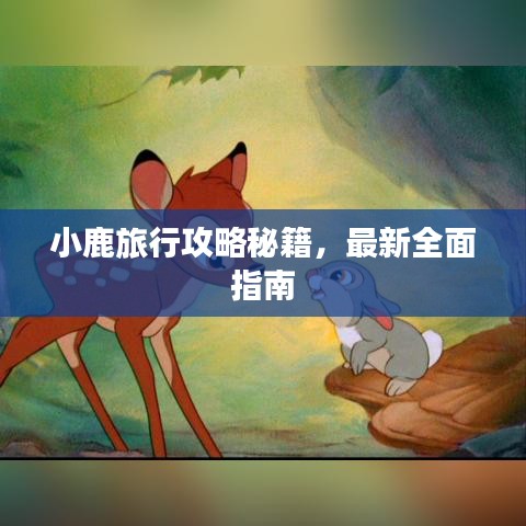 小鹿旅行攻略秘籍，最新全面指南