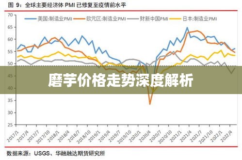 磨芋價(jià)格走勢深度解析