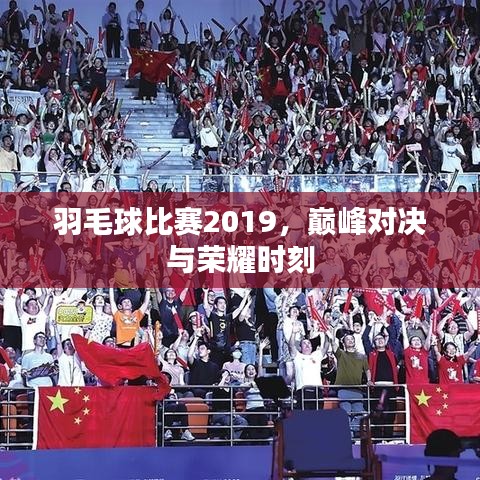 羽毛球比賽2019，巔峰對決與榮耀時刻