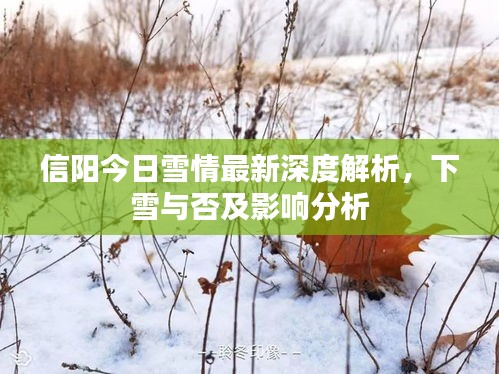 信陽(yáng)今日雪情最新深度解析，下雪與否及影響分析