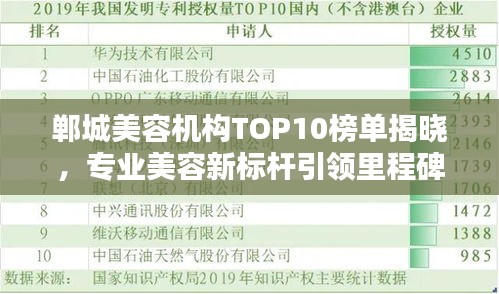 鄲城美容機(jī)構(gòu)TOP10榜單揭曉，專業(yè)美容新標(biāo)桿引領(lǐng)里程碑