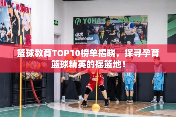 籃球教育TOP10榜單揭曉，探尋孕育籃球精英的搖籃地！