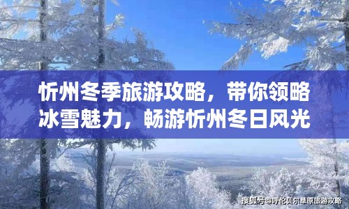 忻州冬季旅游攻略，帶你領(lǐng)略冰雪魅力，暢游忻州冬日風(fēng)光！