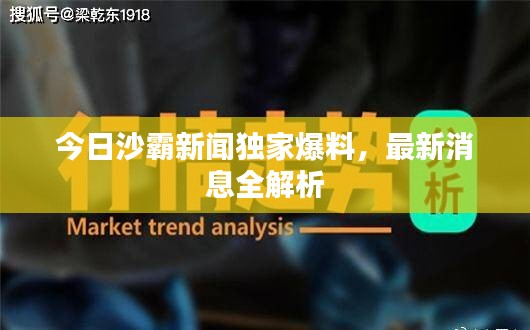 今日沙霸新聞獨(dú)家爆料，最新消息全解析