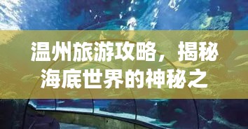 溫州旅游攻略，揭秘海底世界的神秘之旅