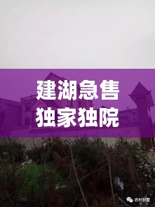 建湖急售獨家獨院，建湖哪里有30到40萬的房子 