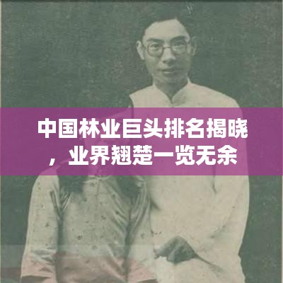 中國林業(yè)巨頭排名揭曉，業(yè)界翹楚一覽無余