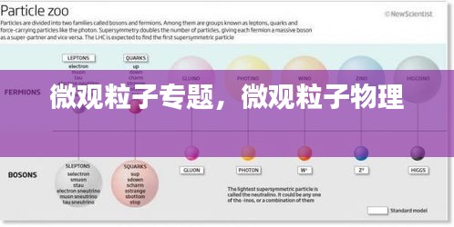 微觀粒子專題，微觀粒子物理 