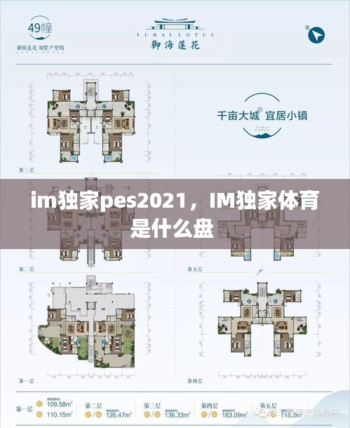 im獨(dú)家pes2021，IM獨(dú)家體育是什么盤 