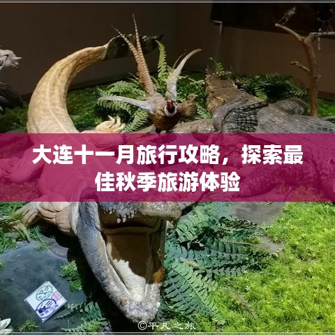 大連十一月旅行攻略，探索最佳秋季旅游體驗