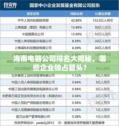 海南電器公司排名大揭秘，哪些企業(yè)獨占鰲頭？