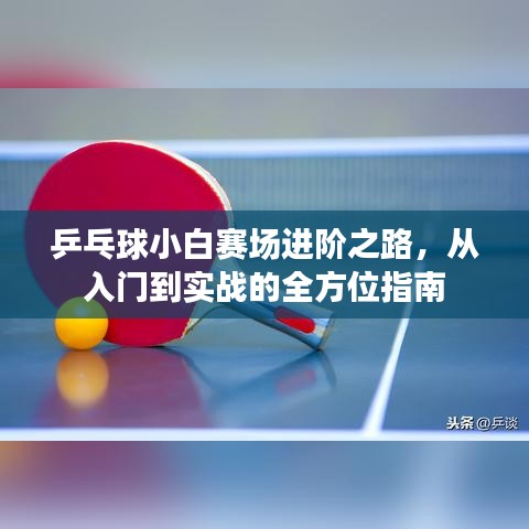 乒乓球小白賽場進階之路，從入門到實戰(zhàn)的全方位指南