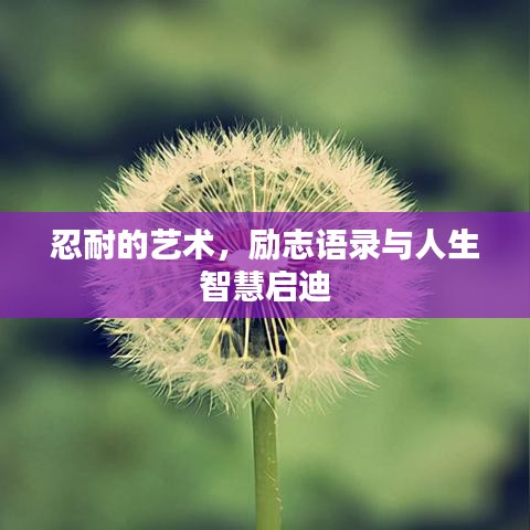 忍耐的藝術(shù)，勵(lì)志語錄與人生智慧啟迪