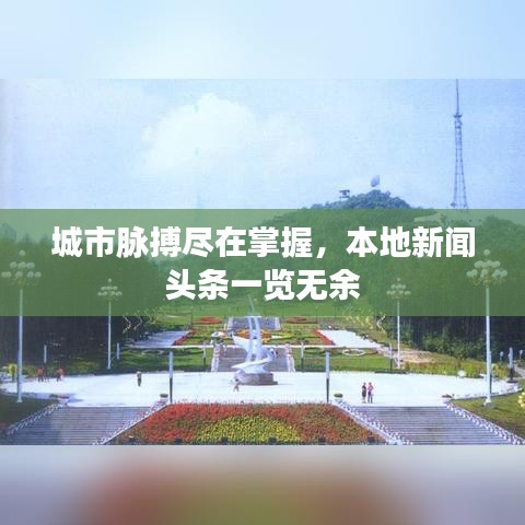 城市脈搏盡在掌握，本地新聞頭條一覽無余