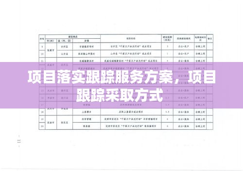 項目落實跟蹤服務方案，項目跟蹤采取方式 