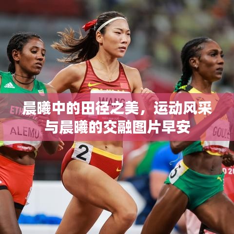 晨曦中的田徑之美，運動風采與晨曦的交融圖片早安