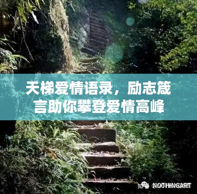 天梯愛情語錄，勵志箴言助你攀登愛情高峰