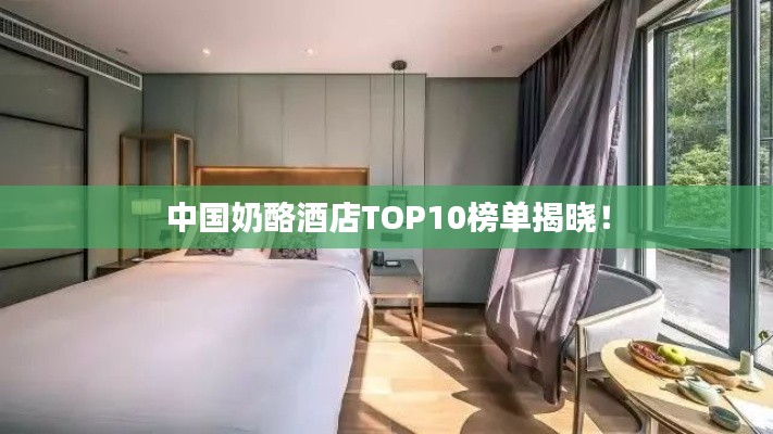 中國奶酪酒店TOP10榜單揭曉！