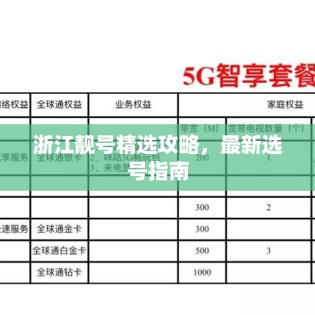 浙江靚號精選攻略，最新選號指南