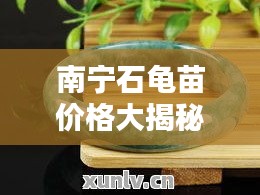 南寧石龜苗價(jià)格大揭秘，最新行情分析！