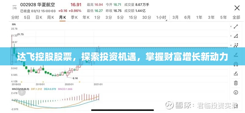 達(dá)飛控股股票，探索投資機(jī)遇，掌握財(cái)富增長(zhǎng)新動(dòng)力