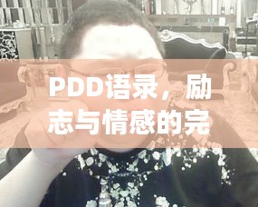 PDD語錄，勵(lì)志與情感的完美交融之道