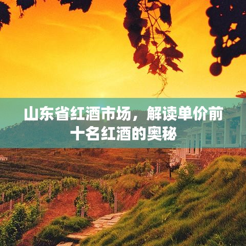 山東省紅酒市場(chǎng)，解讀單價(jià)前十名紅酒的奧秘