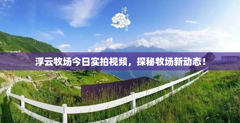 浮云牧場(chǎng)今日實(shí)拍視頻，探秘牧場(chǎng)新動(dòng)態(tài)！