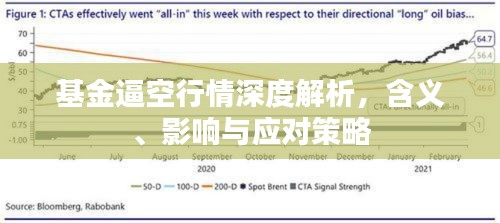 基金逼空行情深度解析，含義、影響與應(yīng)對策略