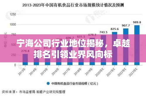 寧海公司行業(yè)地位揭秘，卓越排名引領業(yè)界風向標