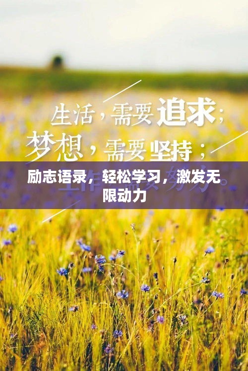 勵志語錄，輕松學習，激發(fā)無限動力