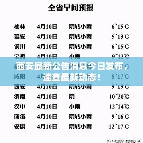 西安最新公告消息今日發(fā)布，速查最新動態(tài)！