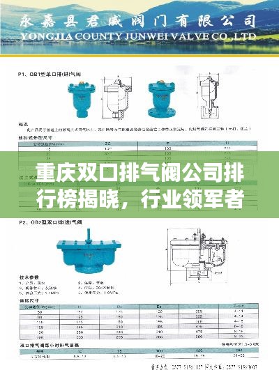 重慶雙口排氣閥公司排行榜揭曉，行業(yè)領(lǐng)軍者榜單！