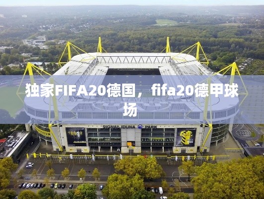 獨家FIFA20德國，fifa20德甲球場 