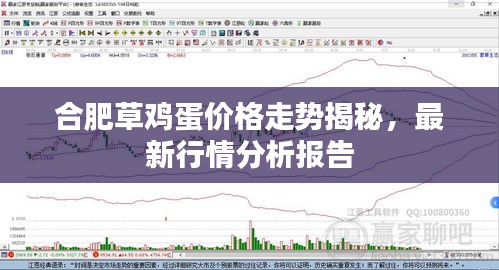 合肥草雞蛋價格走勢揭秘，最新行情分析報告