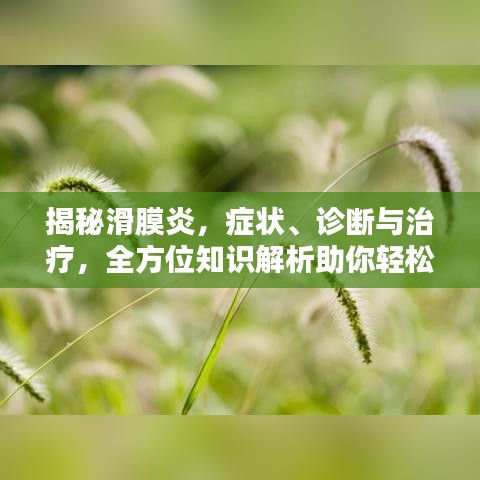 揭秘滑膜炎，癥狀、診斷與治療，全方位知識解析助你輕松應對！