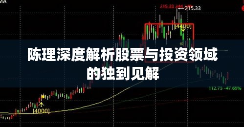 陳理深度解析股票與投資領域的獨到見解