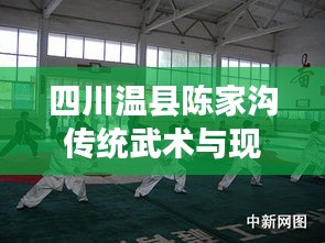 四川溫縣陳家溝傳統(tǒng)武術(shù)與現(xiàn)代文化交融的最新新聞頭條