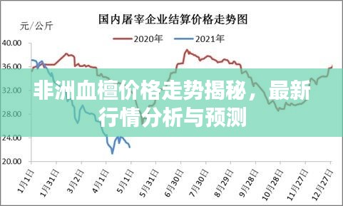 非洲血檀價(jià)格走勢揭秘，最新行情分析與預(yù)測