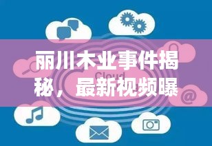 麗川木業(yè)事件揭秘，最新視頻曝光，深度探究背后真相