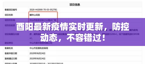 酉陽(yáng)最新疫情實(shí)時(shí)更新，防控動(dòng)態(tài)，不容錯(cuò)過(guò)！