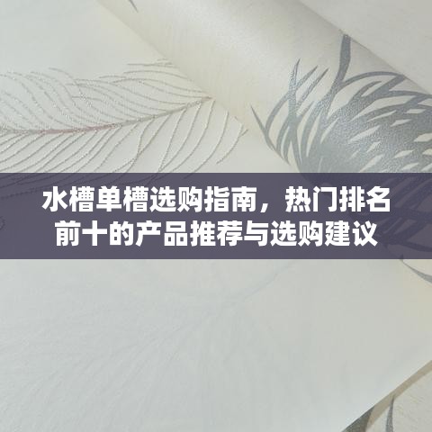 水槽單槽選購指南，熱門排名前十的產(chǎn)品推薦與選購建議