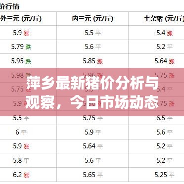 萍鄉(xiāng)最新豬價分析與觀察，今日市場動態(tài)揭秘